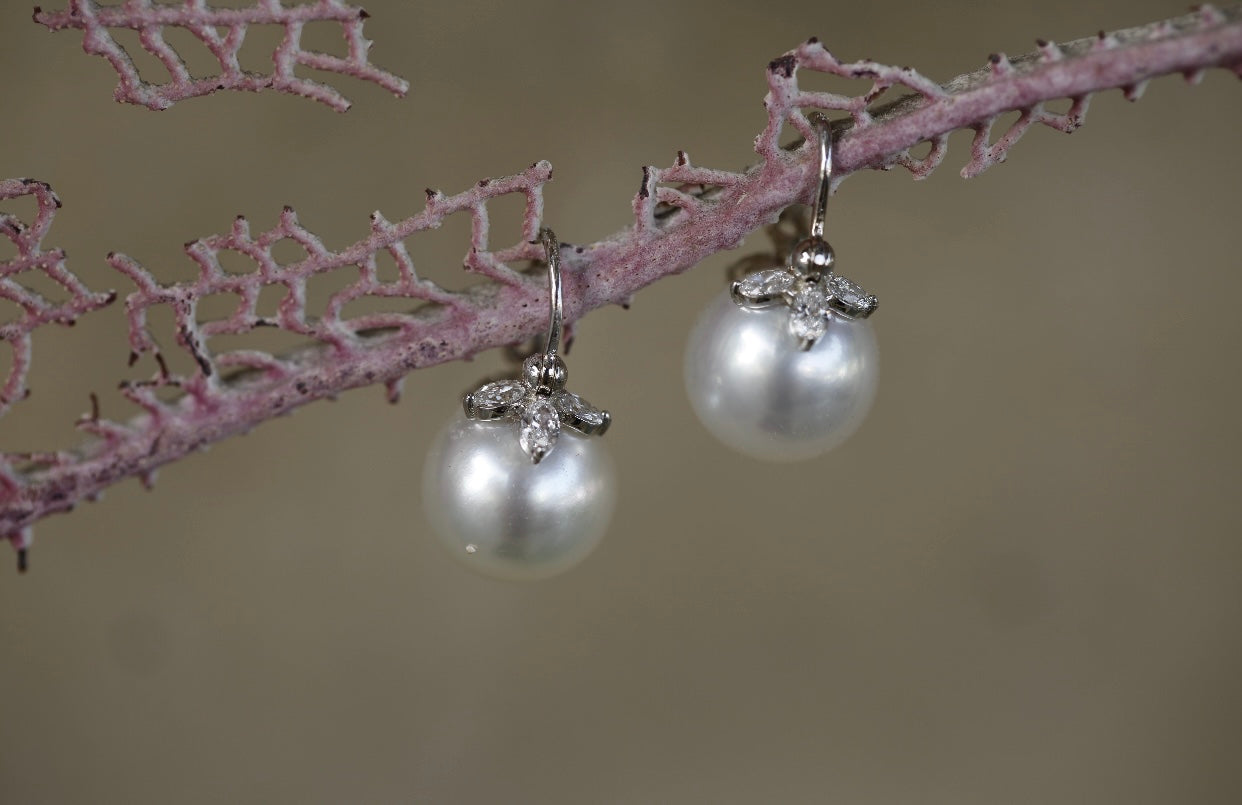 Akoya Pearl & Diamond Drop Earrings