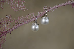 Akoya Pearl & Diamond Drop Earrings